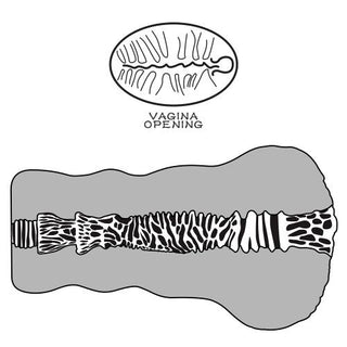 Vagina Artificiale Aliens Pie