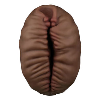 Vagina Artificiale Aliens Pie