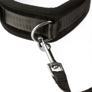 SEI MIO - Take the Lead - Padded Neck Collar and Leash